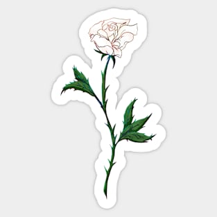 White Rose Sticker